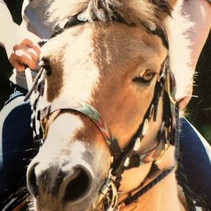 Black heart headstall